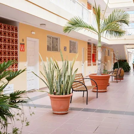 Oasis De Lia -puerto Santiago Appartement