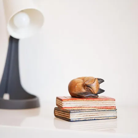 Oasis De Lia -puerto Santiago *