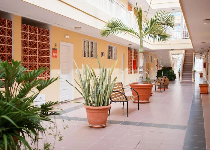 Oasis De Lia -puerto Santiago Apartamento